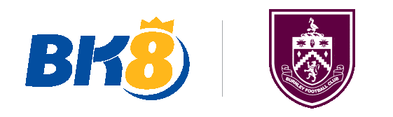 logo bk8